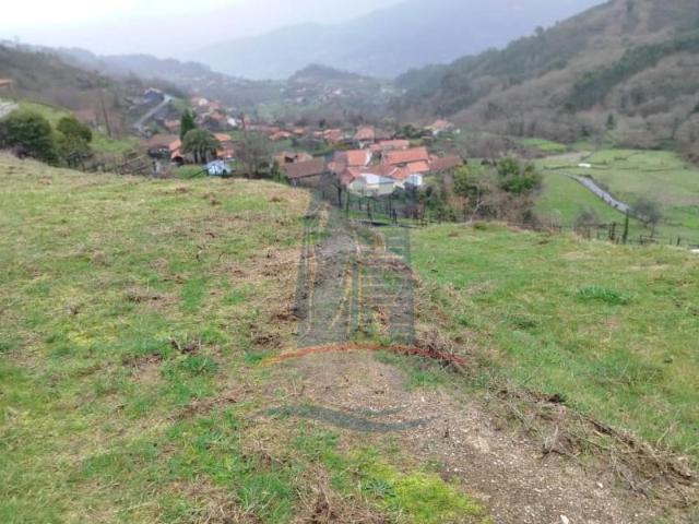 Terreno venda em Grovelas São João Evangelista, Viana Do Castelo