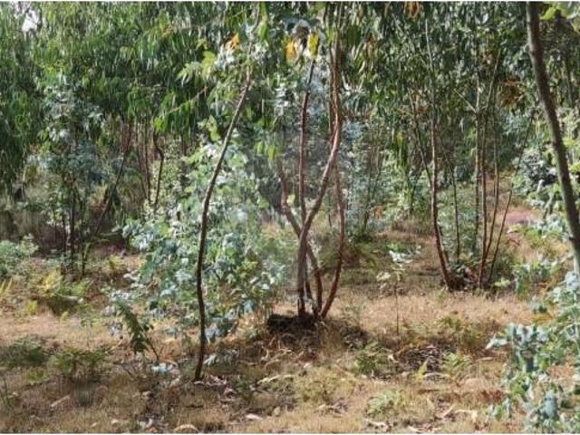 Terreno venda em Sorro, Boalhosa