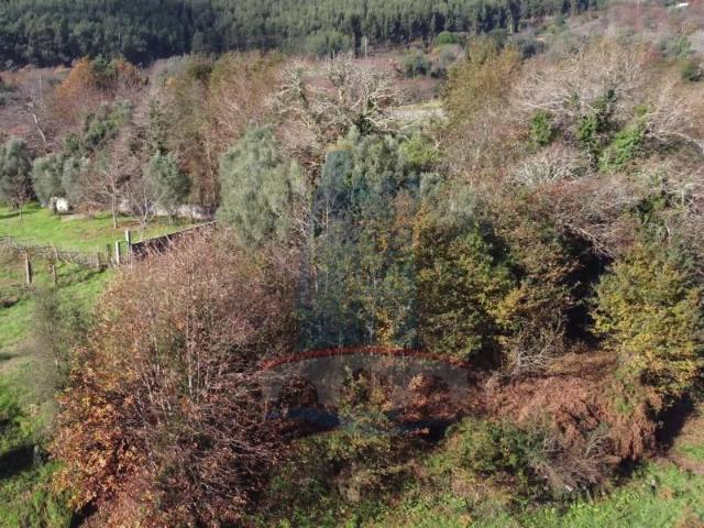 Terreno venda em Arca e Ponte de Lima, Boalhosa