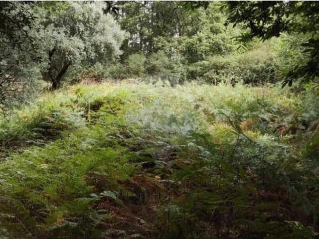 Terreno venda em Boalhosa, Viana Do Castelo