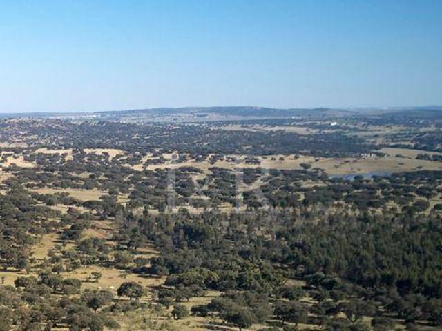 Terreno venda em Estremoz, Évora