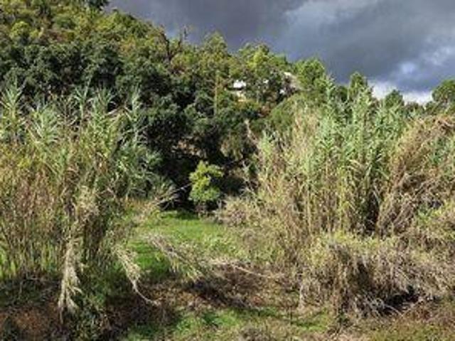 Terreno venda em Praia de Alvor, Portimão