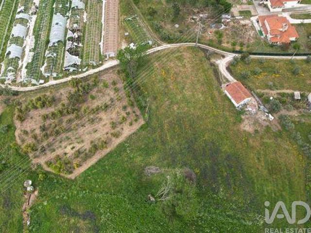 Terreno venda em Porto De Mós, Leiria