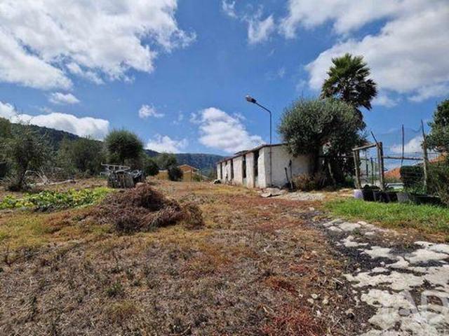 Terreno venda em Zambujal de Alcaria, Porto De Mós