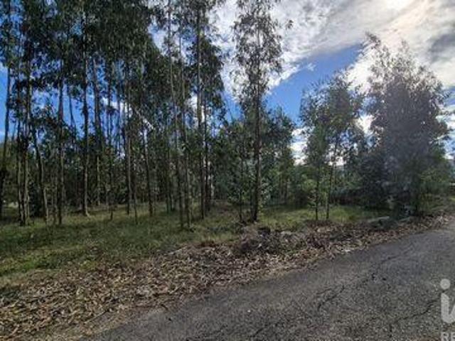 Terreno venda em Cruz da Légua, Porto De Mós