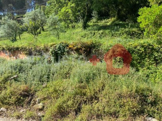 Terreno venda em Porto De Mós, Leiria