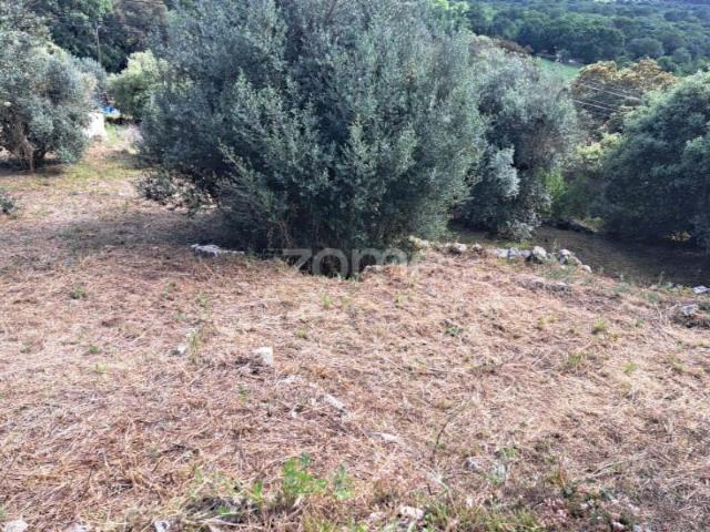 Terreno venda em Porto De Mós, Leiria