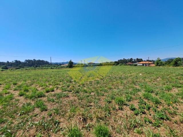 Terreno venda em Felgueiras, Refontoura
