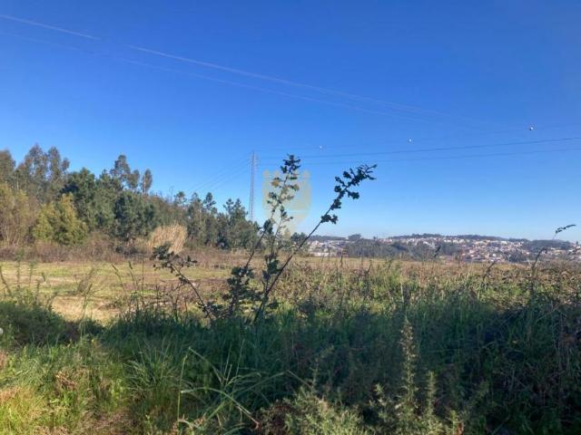 Terreno venda em Vilela, Bitarães
