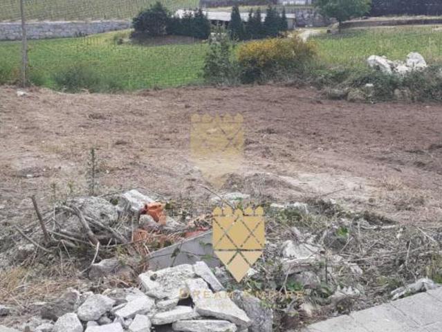 Terreno venda em Paredes, Bitarães