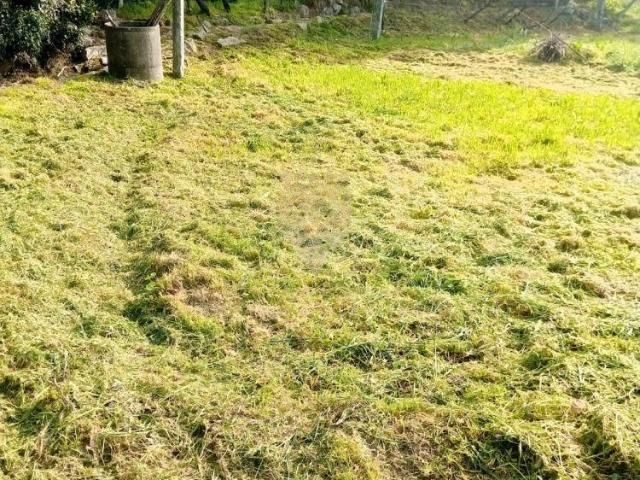 Terreno venda em Anho Bom, Marecos