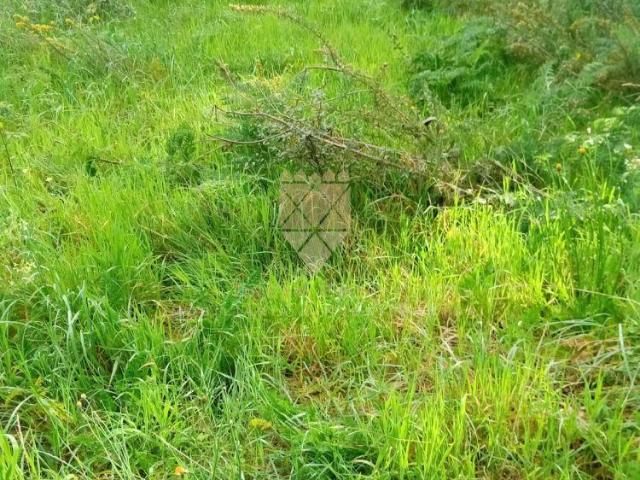 Terreno venda em Anho Bom, Marecos