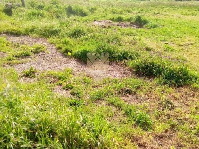 Terreno venda em Anho Bom, Marecos