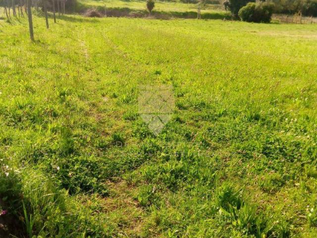 Terreno venda em Anho Bom, Marecos