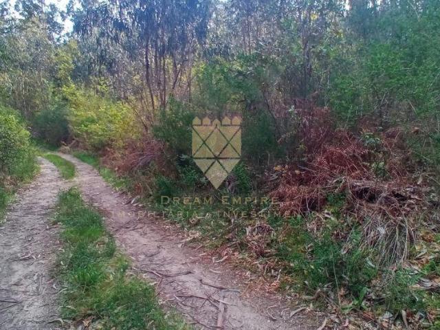 Terreno venda em Senhora do Vale, Marecos