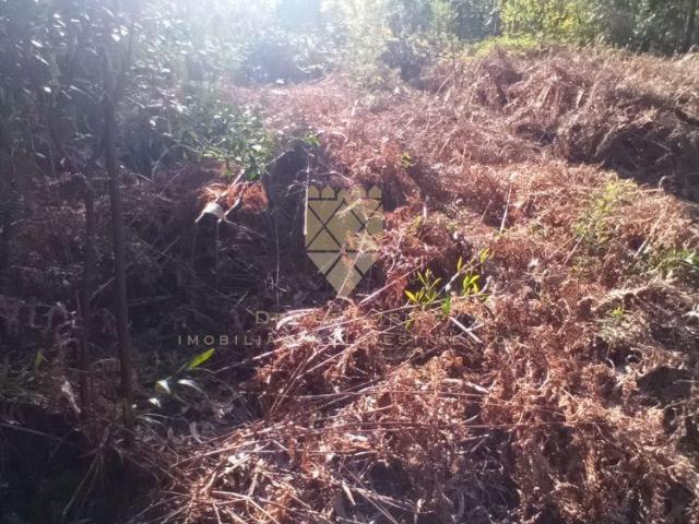 Terreno venda em Senhora do Vale, Marecos