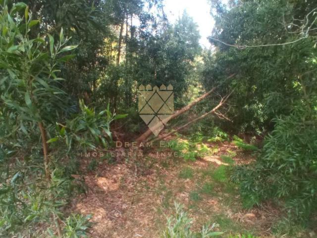 Terreno venda em Anho Bom, Marecos