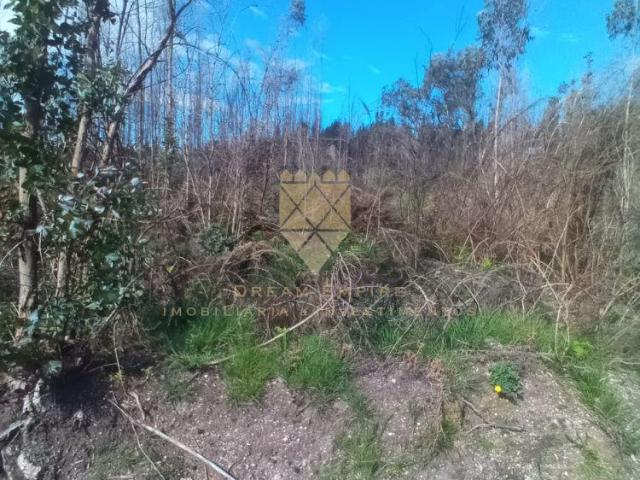 Terreno venda em Marecos, Porto
