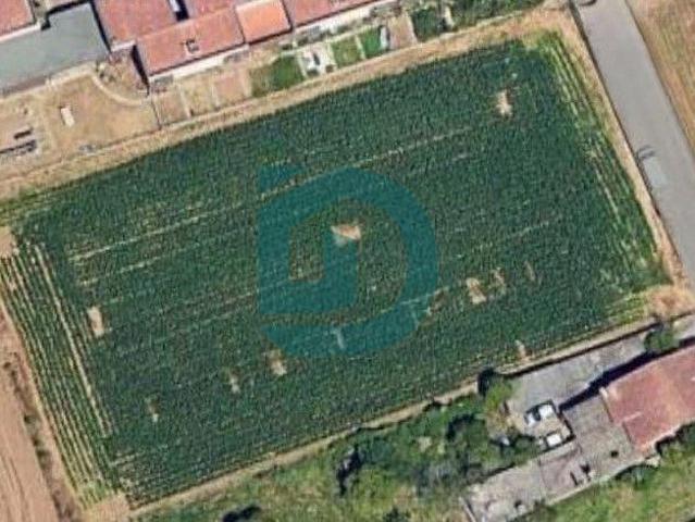 Terreno venda em Vilar e Mosteiró, Vila Do Conde