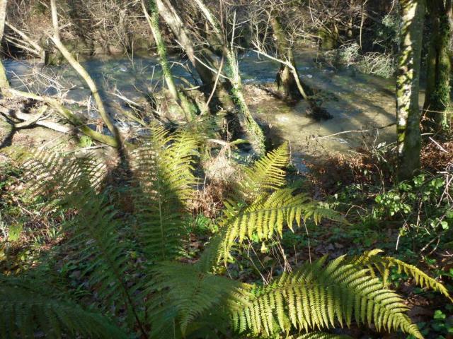 Terreno venda em Póvoa De Lanhoso, Braga