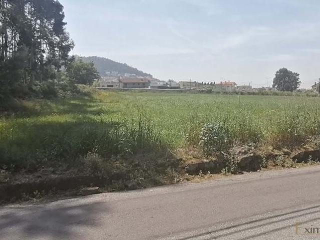 Terreno venda em A Ver-o-mar, Porto