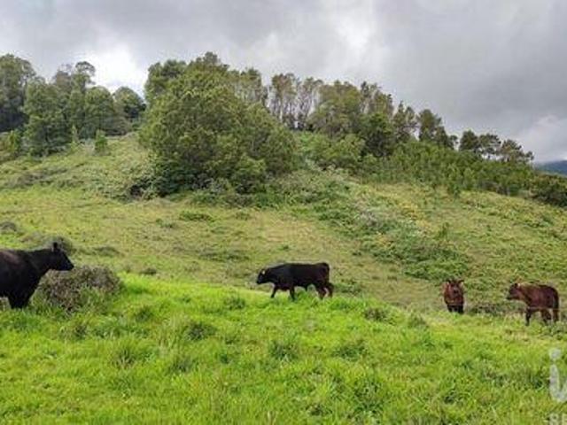 Terreno venda em Gavião, Braga