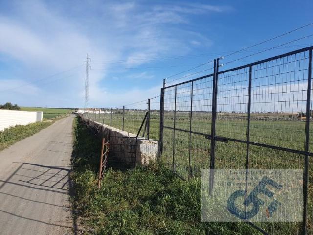 Terreno en venta en Pozoblanco, Andalucía