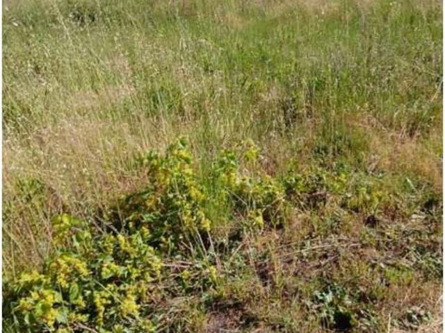Terreno venda em Castelo Branco, Proença-a-nova