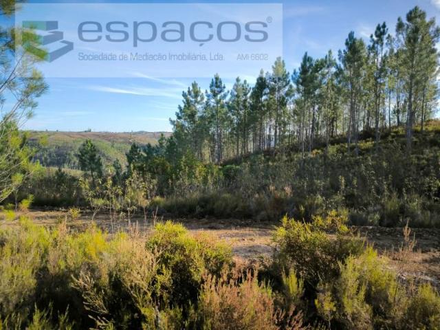 Terreno venda em Castelo Branco, Proença-a-nova