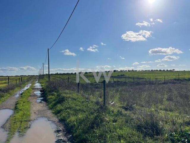 Terreno venda em Reguengos De Monsaraz, Évora