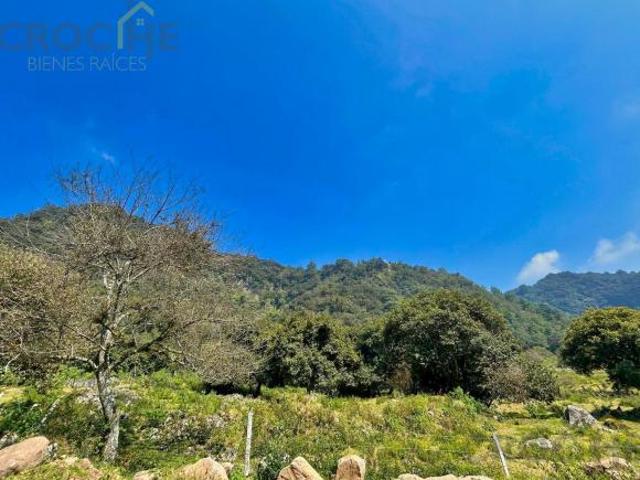 Terreno en venta en Tlacolulan, Veracruz