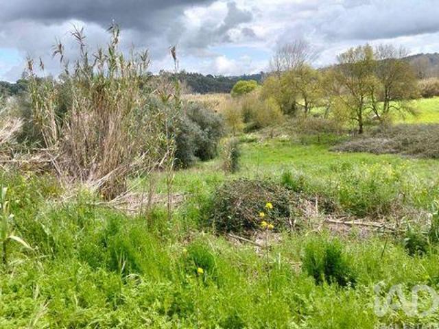 Terreno venda em Rio Maior, Santarém
