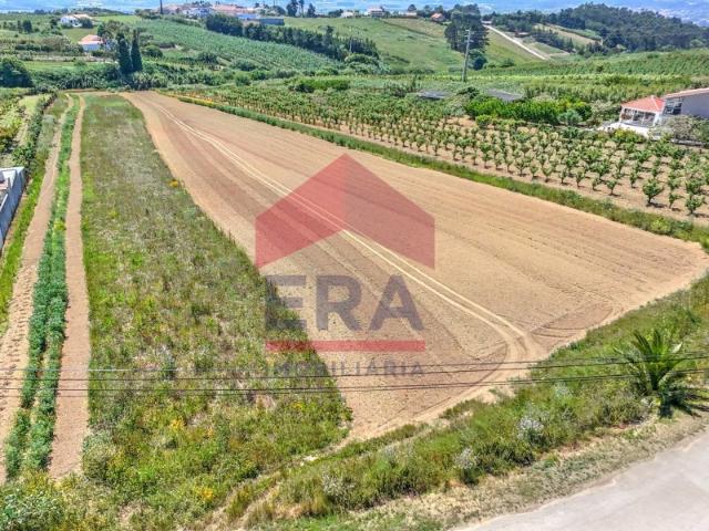 Terreno venda em Óbidos, Leiria