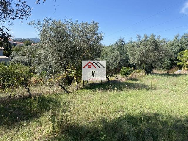 Terreno venda em Poiares (Santo André), Vila Nova De Poiares