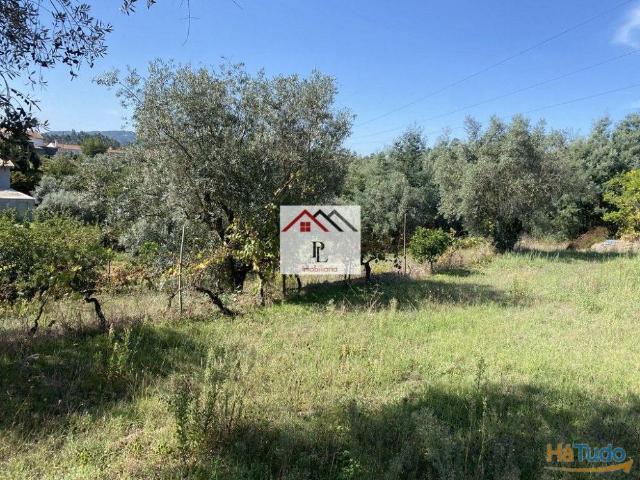 Terreno venda em Vila Nova De Poiares, Coimbra