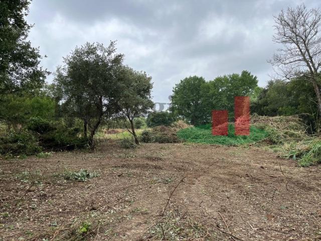Terreno venda em Rio Maior, Santarém