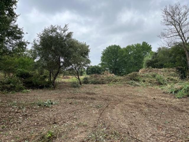 Terreno venda em Rio Maior, Santarém