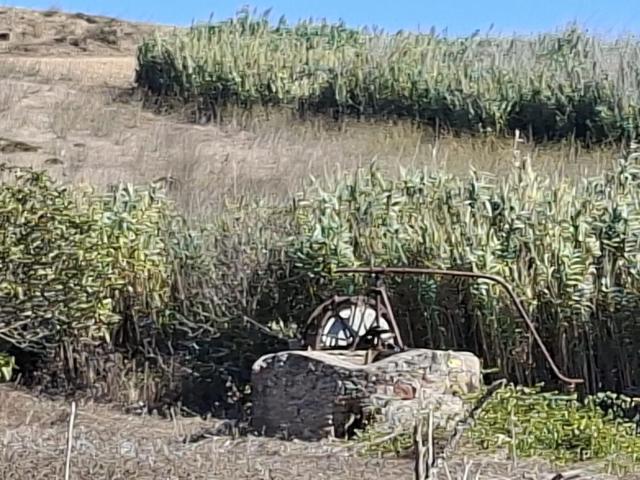Terreno venda em Vila Do Bispo, Faro