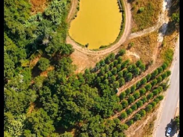 Terreno venda em Mafra, Lisboa