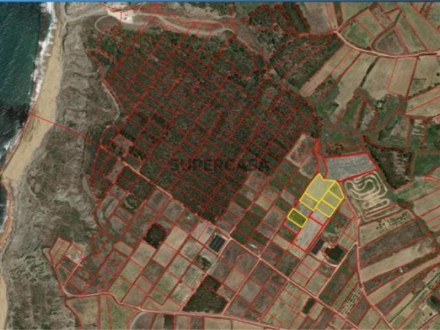 Terreno venda em Bairro do Miranda, Montijo