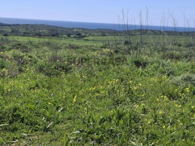 Terreno venda em Vila Do Bispo, Faro