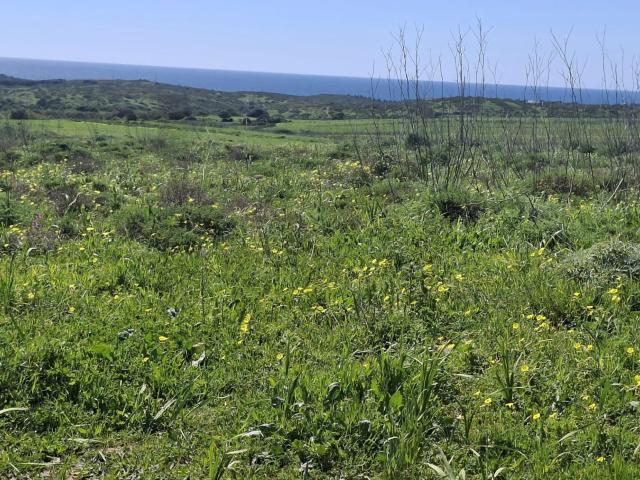 Terreno venda em Vila Do Bispo, Faro