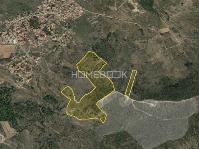 Quinta venda em Lapas Grandes, Torres Vedras