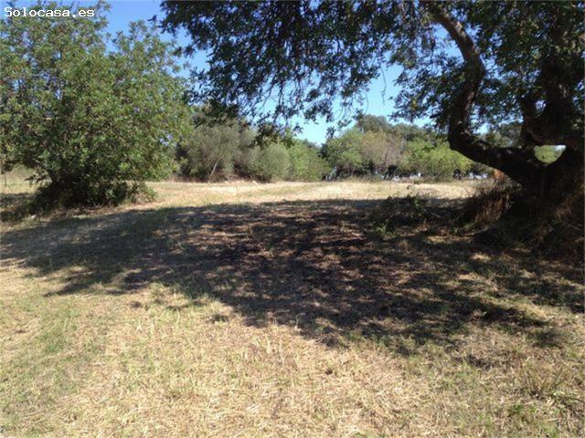 Local Comercial en venta en Raiguer, Baleares