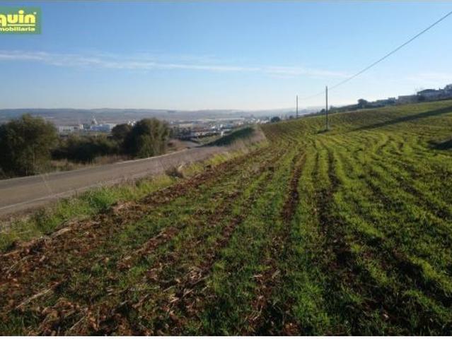 Local Comercial en venta en Alcolea, Córdoba