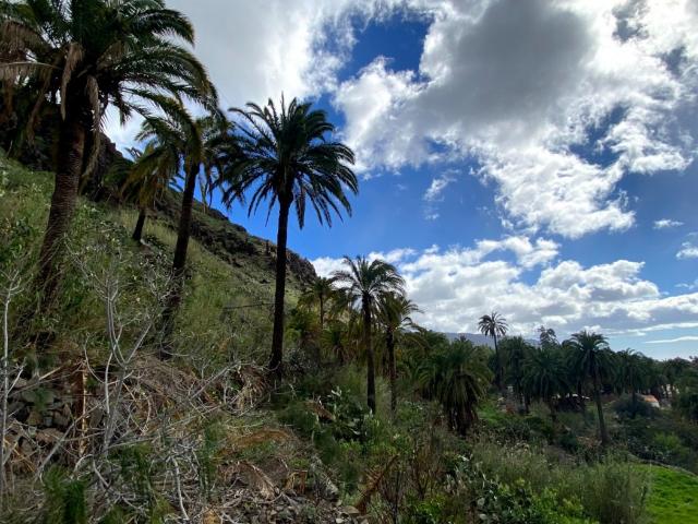 Terreno en venta en San Bartolomé De Tirajana, Canarias