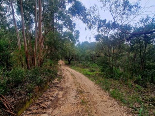 Terreno venda em Monchique, Faro