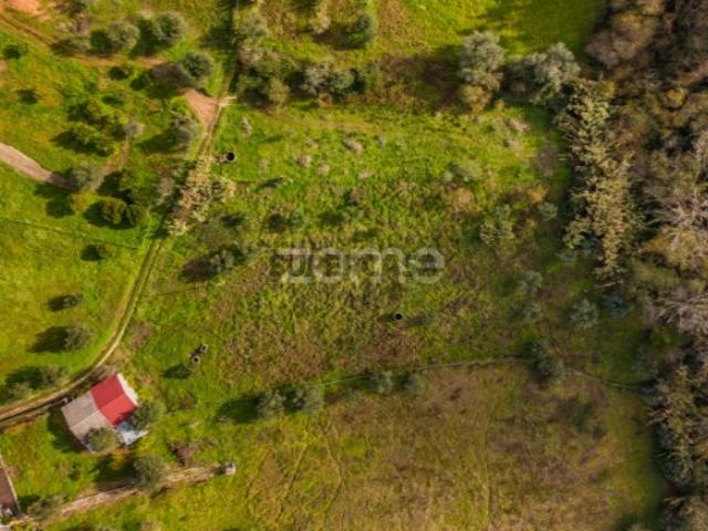 Terreno venda em Pombal, Pelariga