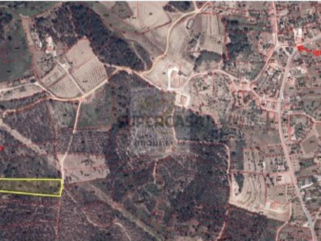 Terreno venda em Tomar, Santarém