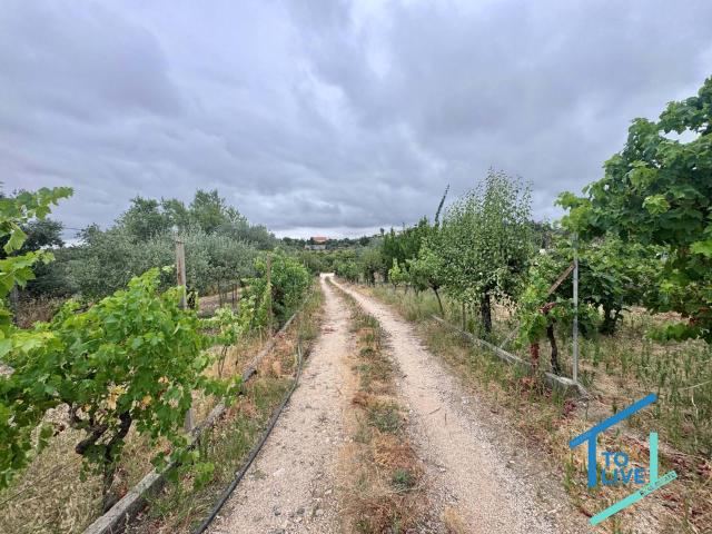Terreno venda em Tomar, Santarém